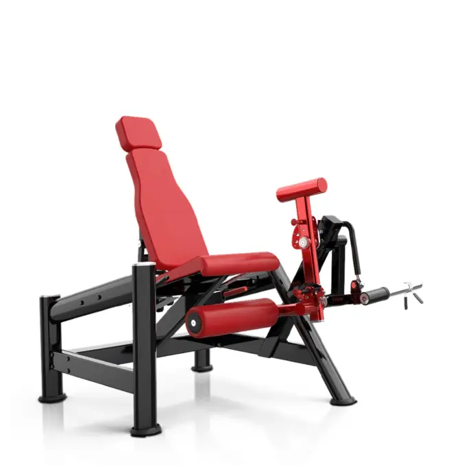 Leg Extension